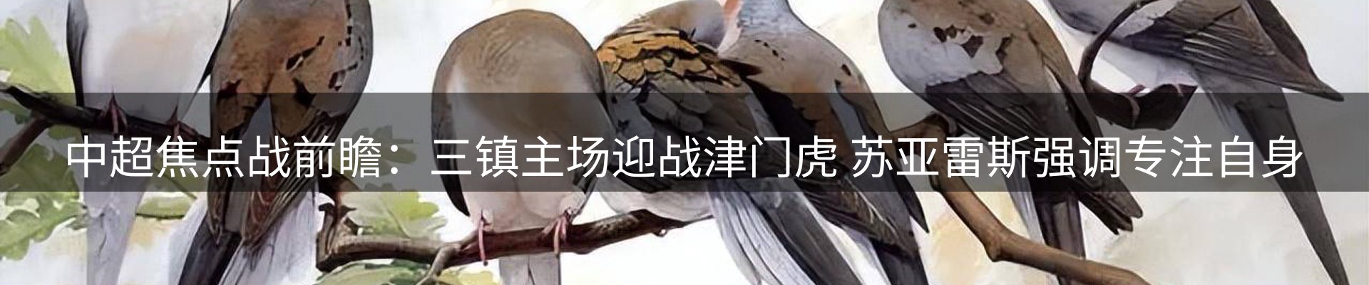 内页banner