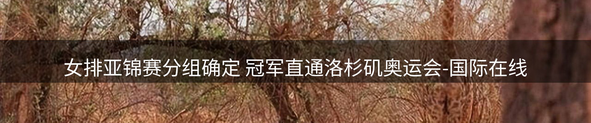 内页banner