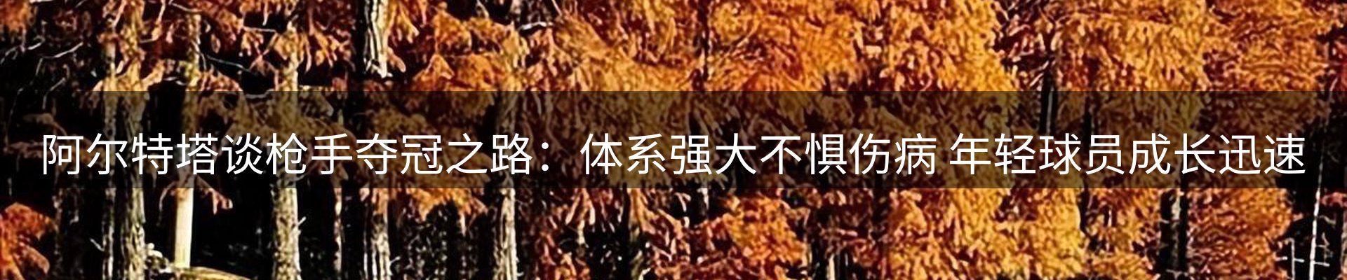 内页banner