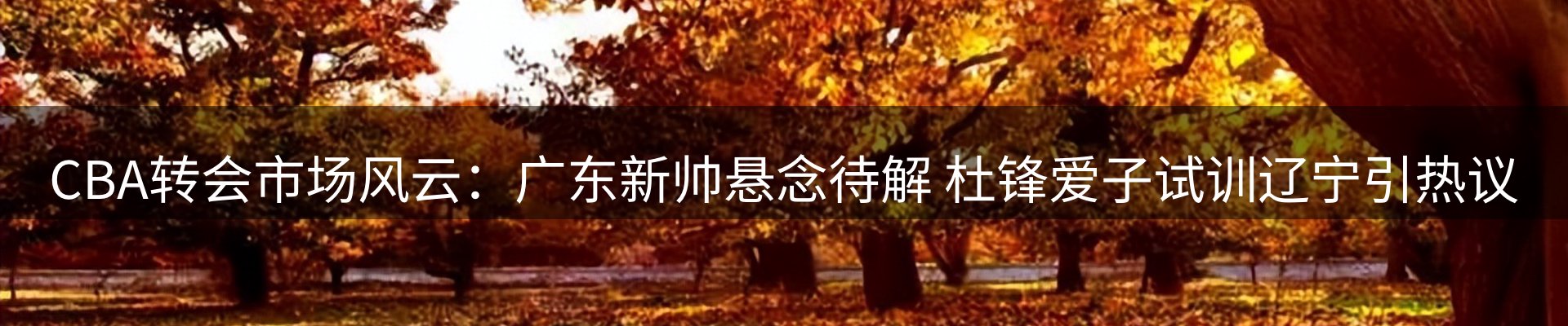 内页banner
